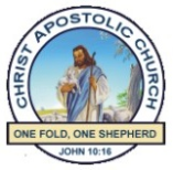 Make a donation to Christ Apostolic Church Mount of Rehoboth